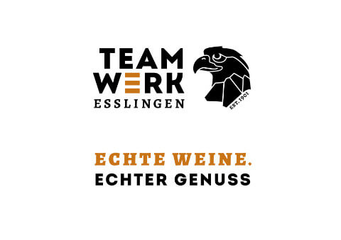Logo Team Werk Esslingen